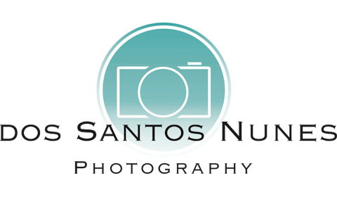 DSN Photography, Hochzeitsfotograf · Video Engelskirchen, Logo
