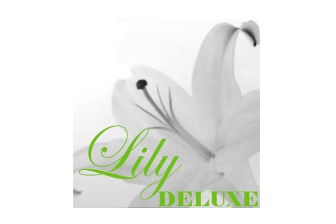 Lily deluxe Blumen, Brautstrauß · Deko · Hussen Köln, Logo