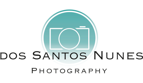 DSN Photography, Hochzeitsfotografen · Video Engelskirchen, Logo