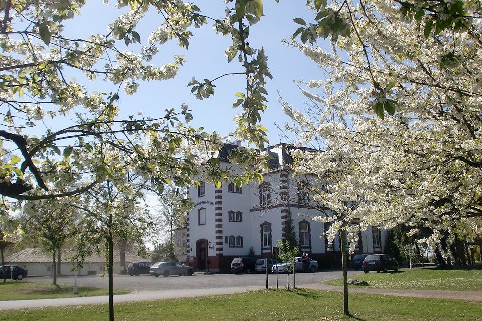Parkanlage, Villa Sophienhöhe - Hotel & Restaurant
